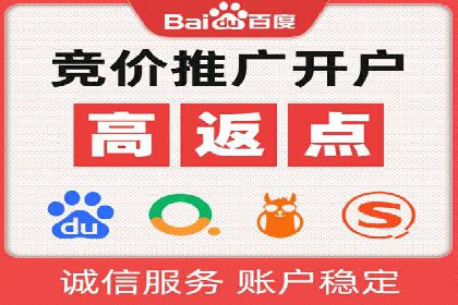 SEM托管公司案例研究：优化策略解析